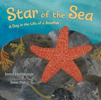 Hardcover Star of the Sea: A Day in the Life of a Starfish Book