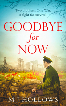 Paperback Goodbye for Now Book