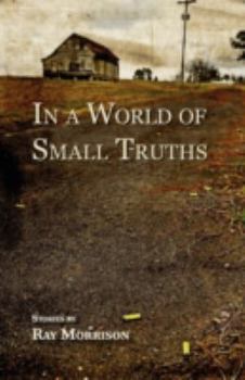 Paperback In a World of Small Truths Book