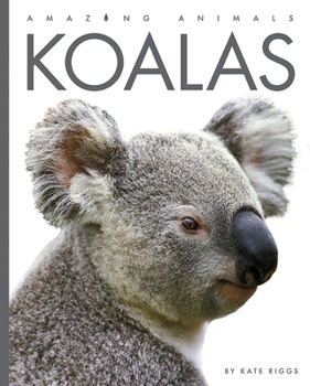 Koalas - Book  of the Amazing Animals