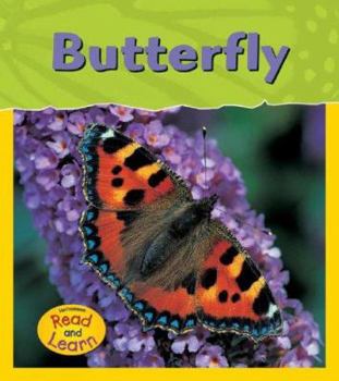 Butterfly - Book  of the Life Cycles