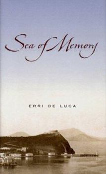 Hardcover Sea of Memory Book