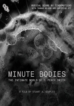 DVD Minute Bodies Book