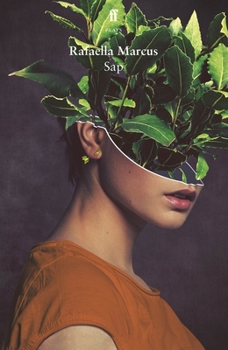 Paperback Sap Book
