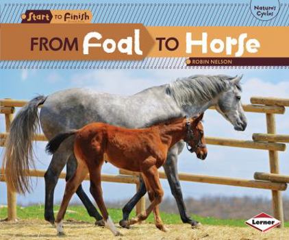 From Foal to Horse - Book  of the Start to Finish, Second Series