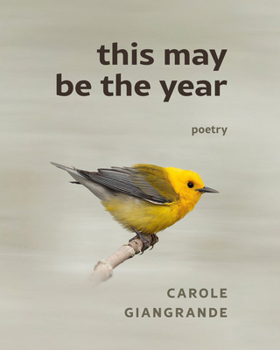 Paperback This May Be the Year Book