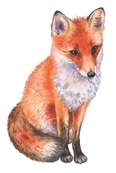 Paperback Notebook: for fox lovers Book