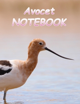 Avocet NOTEBOOK: notebooks and journals 110 pages (8.5"x11")