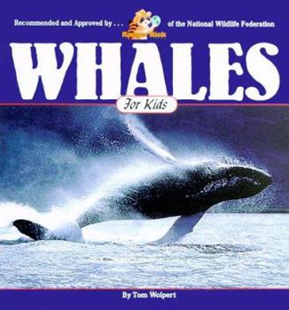 Paperback Whales for Kids Book