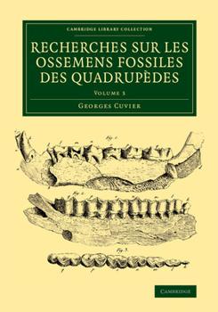 Paperback Recherches Sur Les Ossemens Fossiles Des Quadrupèdes Book