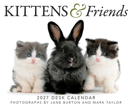 Gladstone Media Kittens & Friends 2027 Desk Calendar – Cute Kitten Photography, Daily Desk Calendar, 6? × 5?, Gift