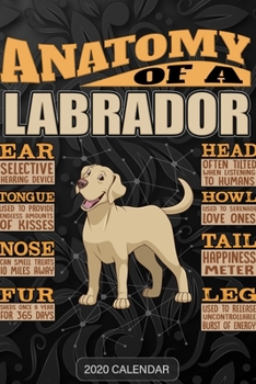 Anatomy Of A Labrador Retriever: Labrador Retriever 2020 Calendar - Customized Gift For Labrador Retriever Dog Owner