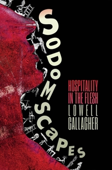 Hardcover Sodomscapes: Hospitality in the Flesh Book