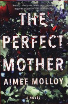 Hardcover The Perfect Mother Book