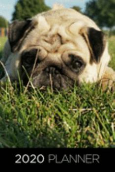 Pug Planner: 2020 diary: Increase productivity, improve time management, reach your goals: Tired pug in garden: Modern artistic photography style cover