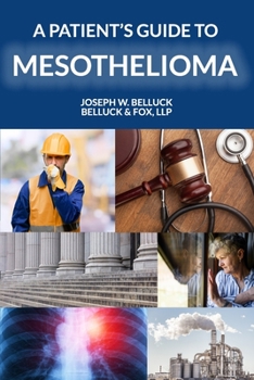 Paperback A Patient's Guide to Mesothelioma Book