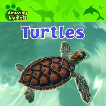 Paperback Turtles Book