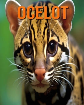 Paperback Ocelot: Des Informations et des Images Amusantes et Intéressantes concernant les Ocelot [French] Book