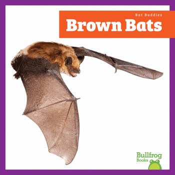 Brown Bats (Bat Buddies)