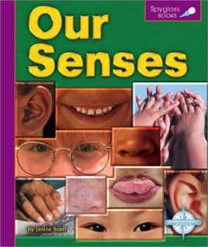 Library Binding Our Senses Book