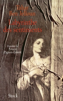 Paperback Labyrinthe des sentiments [French] Book