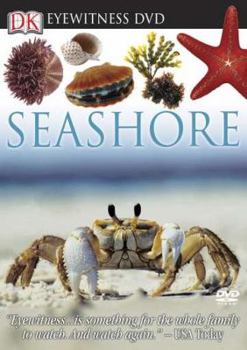 DVD-ROM Eyewitness DVD: Seashore Book