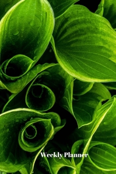 Weekly Planner: Versatile weekly planner with no calendar dates.