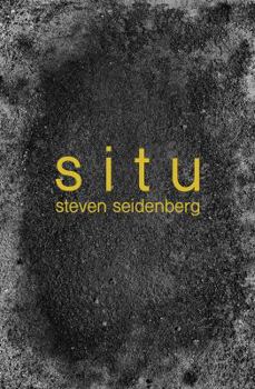 Paperback Situ Book