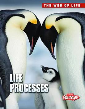 Paperback Life Processes Book