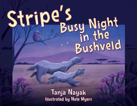 Paperback Stripe's Busy Night in the Bushveld Book