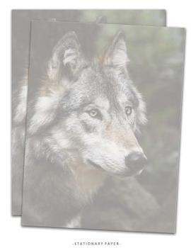 Stationary Paper : Wolf Face Stationery Letterhead Paper, Set of 25 Sheets Animal Themed for Writing, Flyers, Copying, Crafting, Invitations, Party, Office, Events, School Supplies, 8. 5 X 11 Inch