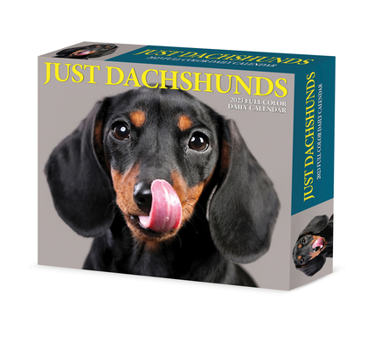 Calendar Dachshunds 2023 Box Calendar Book