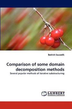 Paperback Comparison of Some Domain Decomposition Methods Book