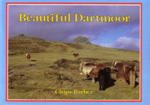 Paperback Beautiful Dartmoor Book