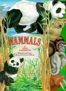 Board book Mammals Book