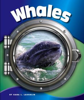 Library Binding Whales Book