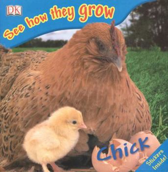 Chick - Book  of the Life Cycle of a...