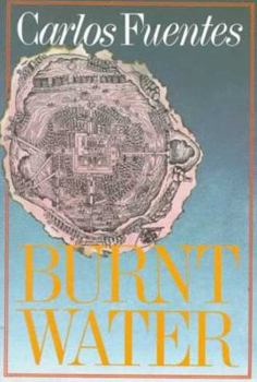 Hardcover Burnt Water: Stories Book