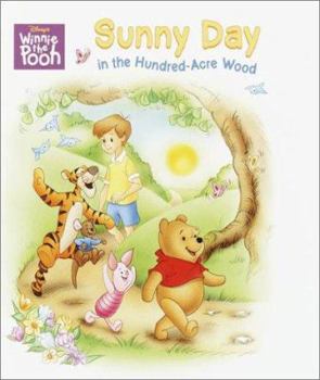 Board book Sunny Day in the Hundred-Acre Wood (Super Tab Books) Book