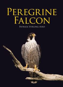 Hardcover Peregrine Falcon Book