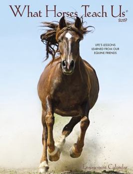 Calendar What Horses Teach Us 2019 Engagement Calendar Book