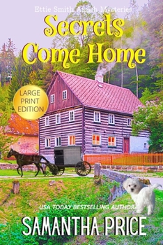 Paperback Secrets Come Home LARGE PRINT: Amish Suspense and Mystery Book