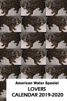 Paperback American Water Spaniel Lovers Calendar 2019-2020 Book