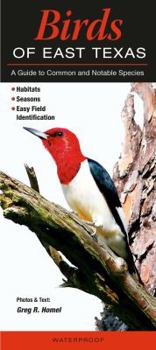 Pamphlet Birds of East Texas: A Guide to Common & Notable Species Book