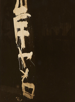 Hardcover The Gaze of Things: Japanese Photography in the Context of Provoke Book