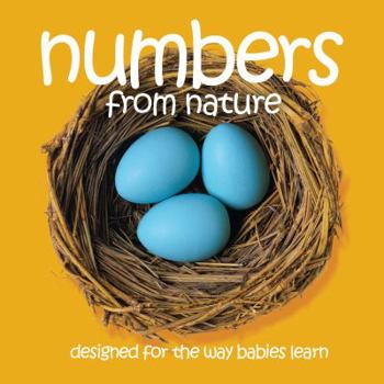 Board book Numbers from Nature Book