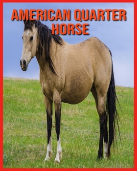 American Quarter Horse: Amazing Photos & Fun Facts Book About American Quarter Horse For Kids