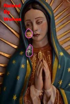 Paperback Raised By Wolves: The Shawn Khalifa Story Book