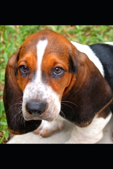 Paperback Books: Books Book