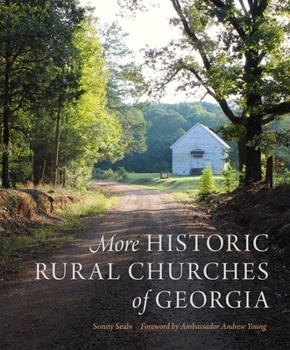 Hardcover More Historic Rural Churches of Georgia Book